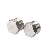 Grand stock de bouchon à trou transparent 1/8 "-4" bouchon hydraulique Ss HEX HEAD PLUG