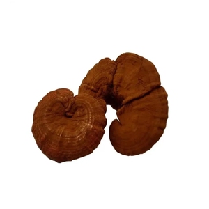 Vente chaude Séché Ganoderma Lucidum À Base De Plantes Naturel Pur Produit Agricole Primaire <span class=keywords><strong>Champignon</strong></span> - Product Image 3