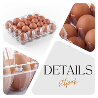 Vente en gros bon marché emballage d'oeufs jetables en PET 20 trous plateau d'oeufs transparent en plastique
