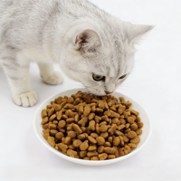 Aliments secs pour chats personnalisés OEM ODM, saveurs variées, haute qualité, riches en protéines, faibles en matières grasses, pour la santé digestive, avec forme sur mesure