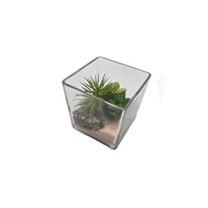 Vaso Quadrato in Vetro 12x12H cm per Piante Succulente, 3 Varianti di Vegetazione Artificiale - Product Image 3