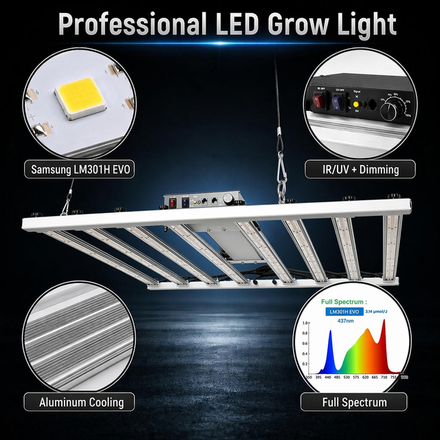Do Brasil Frete Gratis Figolite Professional Horticulture 600w Led Grow Light bar Full Spectrum LM301H EVO Smart APP Controller