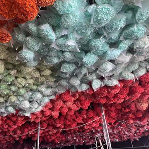 Anna <span class=keywords><strong>hortensia</strong></span> fleur séchée branche unique <span class=keywords><strong>hortensia</strong></span> éternel décoration de la maison multicolore en gros pour les Occasions de remise des diplômes - Product Image 2