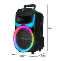 CSN-801 Enceinte portable de fête en forme de corne avec éclairage latéral RGB, Boombox d'extérieur, Meilleure vente en Amérique du Sud