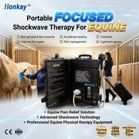Equipo de Terapia de Ondas de Choque para el Manejo del Dolor Veterinario, Máquina de Ondas de Choque Electromagnéticas Enfocadas para la Curación y Recuperación de Caballos