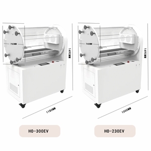 Yicai Tùy Chỉnh Thú Y Thiết Bị 10L/Min Tỷ Lệ Oxy Hình Hệ Thống Pet Hyperbaric Điều Trị Oxy Buồng - Product Image 2