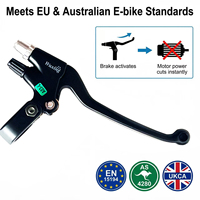 Kit de vélo électrique Sailimotor 2000W 3000W 5000W avec écran LCD SW900 et accélérateur à pouce, doté d'un moteur de moyeu et d'une batterie au lithium
