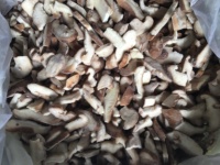 Hongos Shiitake Congelados Detan, Enteros/Rebanados/Cubos, en Venta