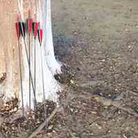 Flèches de tir à l'arc en carbone avec de vraies plumes et points de champ pour le tir à la cible de chasse