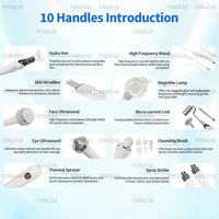 Nueva Máquina Facial de Hidrodermoabrasión Popular Multifuncional 10 en 1 con Lámpara de Aumento y Vaporizador, Personalizable con Logotipo