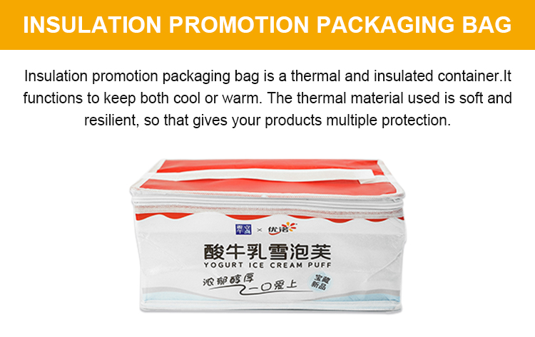 Portable Lunch Oversized Outdoor Cooler Bag, Extra Large Heavy Duty Custom Reusable Tote Food Delivery Bag