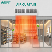 Rideau d'air commercial puissant à turbine transversale Beiaole 300-250W 380/220V AC, monté au plafond, haute sécurité, pour portes, vente en gros