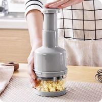 Handmatige knoflookhakker, mini handmatige chili-knoflook-wortelenpers, ui-groentesnijder, handmatige knoflookknijper