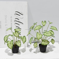 Plante artificielle Pothos, Syngonium, Tannia, Arrowleaf, Oreille d'éléphant, Feuille de Taro, Bonsaï artificiel 50cm pour Table, Mariage, Noël