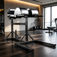 Machine GHD (Glute Ham Developer) pour l'entraînement des fessiers et des ischio-jambiers, extensions dorsales, équipement de fitness pour la musculation des ischio-jambiers, pour salle de sport et studio