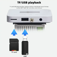 Bluetooth arka plan müzik ana bilgisayar için müzik amplifikatör 86 kutu İngilizce ev amplifikatör Bluetooth amplifikatör için duvar ile