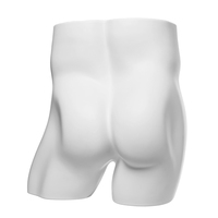 Mannequin de présentation homme en plastique TB2 pour sous-vêtements – Prix abordable