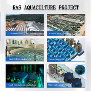 ระบบ RAS เชิงพาณิชย์ รีไซเคิลน้ำได้ 95% สำหรับการเพาะเลี้ยงปลาและกุ้งความหนาแน่นสูง ใช้ได้ทั้งในร่มและกลางแจ้ง ได้รับการรับรองมาตรฐาน CE จากโรงงานโดยตรง - Product Image 4