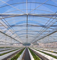 Serres agricoles multi-spans en acier pour la culture de légumes à domicile, structure en acier, abri en plastique, serre à vendre