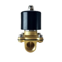 Vanne solénoïde en laiton 2W160-15 NC NO 12V 24V 220V 2 voies 1/2 pouce à action directe pour eau, gaz, air, huile
