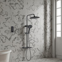 Ensemble de colonne de douche à effet pluie en acier inoxydable chromé noir TM-1005