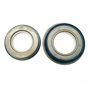 02E DQ250 Auto Transmission Piston Kit 2PCS/SET For Volkswagen Audi Seat Car Accessories 198200A - Product Image 3
