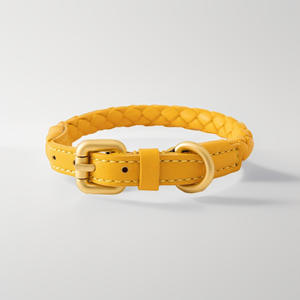 Collier et laisse pour chien en cuir tressé imperméable tendance, matériaux écologiques et multicolore, style tendance - Product Image 1