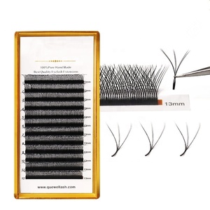 2025's best-seller de Lami Lash Extension Mix Tray - Product Image 4