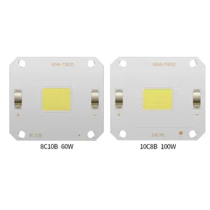 High Efficiency LED Chip 4046 Size 3000k 6000k 10w 20w 30w 50w 60w 100w Flip Chip COB LED Lamp Bead For Projection Light
