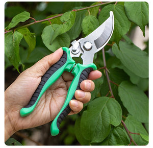 Forbici <span class=keywords><strong>da</strong></span> Potatura Manuali Multifunzione in Acciaio Inossidabile di Alta Qualità con Manico in Plastica Resistente per Rami Grossi e Alberi <span class=keywords><strong>da</strong></span> <span class=keywords><strong>Frutto</strong></span> OEM - Product Image 6