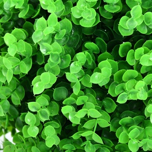 Cao bạch đàn Milan nhựa nhân tạo cỏ bóng màu xanh lá cây thực vật Bóng nhà vườn trang trí cửa sổ đường hướng dẫn cửa hàng trang trí nội thất - Product Image 4