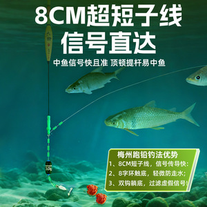 Ensemble d'hameçons de pêche à la carpe Aohu 8 cm à double hameçon avec ligne Dyneema et dégagement rapide pour la pêche au fond - Product Image 5