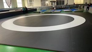 Entraînement de boxe intense de haute qualité, adapté aux combats de championnat de style <span class=keywords><strong>WWE</strong></span> et à la sécurité physique pour tapis de boxe - Product Image 4