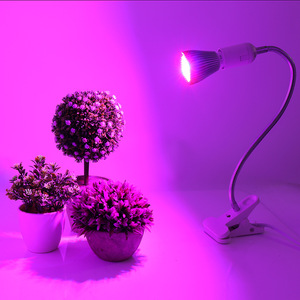 Rot-Blaues Erweitertes Spektrum Pflanzenwachstumslampe Bestseller 10W 15W 30W E27 LED Wachstumslampe für Setzlinge Blumen Früchte - Product Image 4