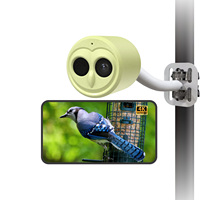 Willfine - Observación Inteligente de Aves con Cámara 4K, Reconocimiento de Especies de Aves por IA, Sensor de Alta Calidad, WiFi de Doble Banda de 2.4/5GHz