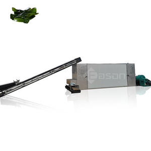 Máquina secadora de cinta de malla de maduración y esterilización para frutas vegetales - Product Image 3