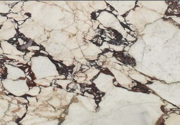 Calacatta Viola bianco