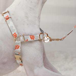 Harnais pour chien moderne de luxe, anti-traction, en coton confortable, respirant, écologique, durable, style adorable - Product Image 3