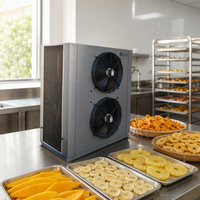 Warmtepomp Durian Droogmachine Laagtemperatuur Fruitdroger