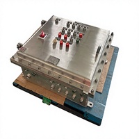 Caja de Control a Prueba de Explosiones IP66 SS316L Ex Db IIB T6 Gb AC220V 32A LD-BKC 800*350*850mm, Gabinete Eléctrico Industrial para Petróleo