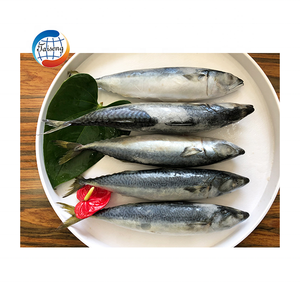 Giá tốt nhất bán trên đông lạnh toàn bộ Thái Bình Dương Cá Thu cá Tên khoa học scomber japonicus Chất lượng cao Cá - Product Image 4