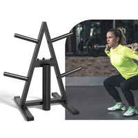 Support de rangement triangulaire multi-niveaux en acier et caoutchouc pour haltères et plaques de poids, équipement de gym OEM en forme de A