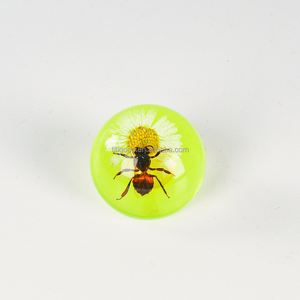 Especímen de Resina de Insecto, Taxidermia de Hormiga, Artesanía de Resina, Pin de Especímen Animal, Regalo de Halloween, Juguete de Resina Epoxi, <span class=keywords><strong>Insectos</strong></span> Taxidermizados - Product Image 3
