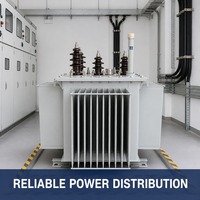Transformateur de distribution triphasé immergé dans l'huile S22, entrée 3KV 6KV 11KV, sortie 400V, 50HZ, haute isolation, longue durée de vie