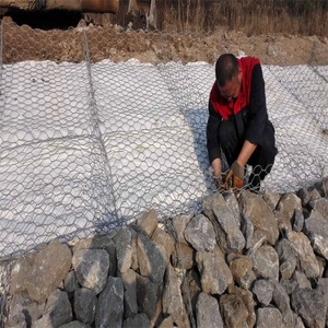 Bán nóng lồng rọ đá tùy chỉnh và tường 1x1x1 giỏ rọ đá và kỹ thuật uốn hộp với dịch vụ xử lý uốn - Product Image 4