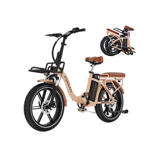 Vélo électrique pliable KOOLUX X16 48V 250W avec pneus larges, moteur à moyeu arrière, frein à disque, couleur personnalisée, pour les trajets urbains - Product Image 3