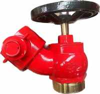 CA FIRE 2.5 pouces laiton fileté Type Oblique bride vanne d'atterrissage bouche d'incendie intérieur 45 degrés bouche d'incendie à bride