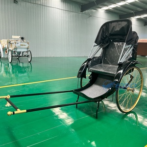 Chariot Électrique Classique à Deux Roues à Traction Manuelle, Haute Performance, Vente Chaude, Châssis en Acier Robuste - Product Image 1