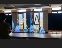Pantalla LED Flexible de Película Transparente para Exteriores p3.91-p7.82, Pantalla LED Digital para Ventanas