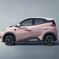 BYD Song 2025/2026, SUV compact 100% électrique, design élégant, longue autonomie (>700 km), batterie 90-110 kWh, charge rapide (0,5 h)
